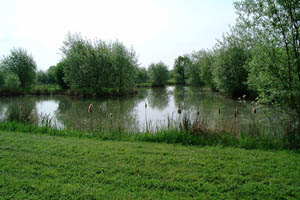 Picture of Combermere Chequered Fishery